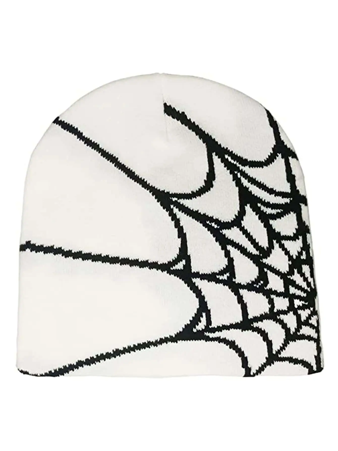 Sp5derweb Beanie