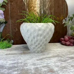 Cottage Core Mini Cement Strawberry Planter Trinket Jar Succulent Air Plant Display Unique Small Fruit Pot for Plant Lover Gifts