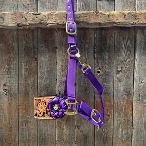 Purple Nylon Horse Halter – Bronc Noseband with Crystal Conchos NH109
