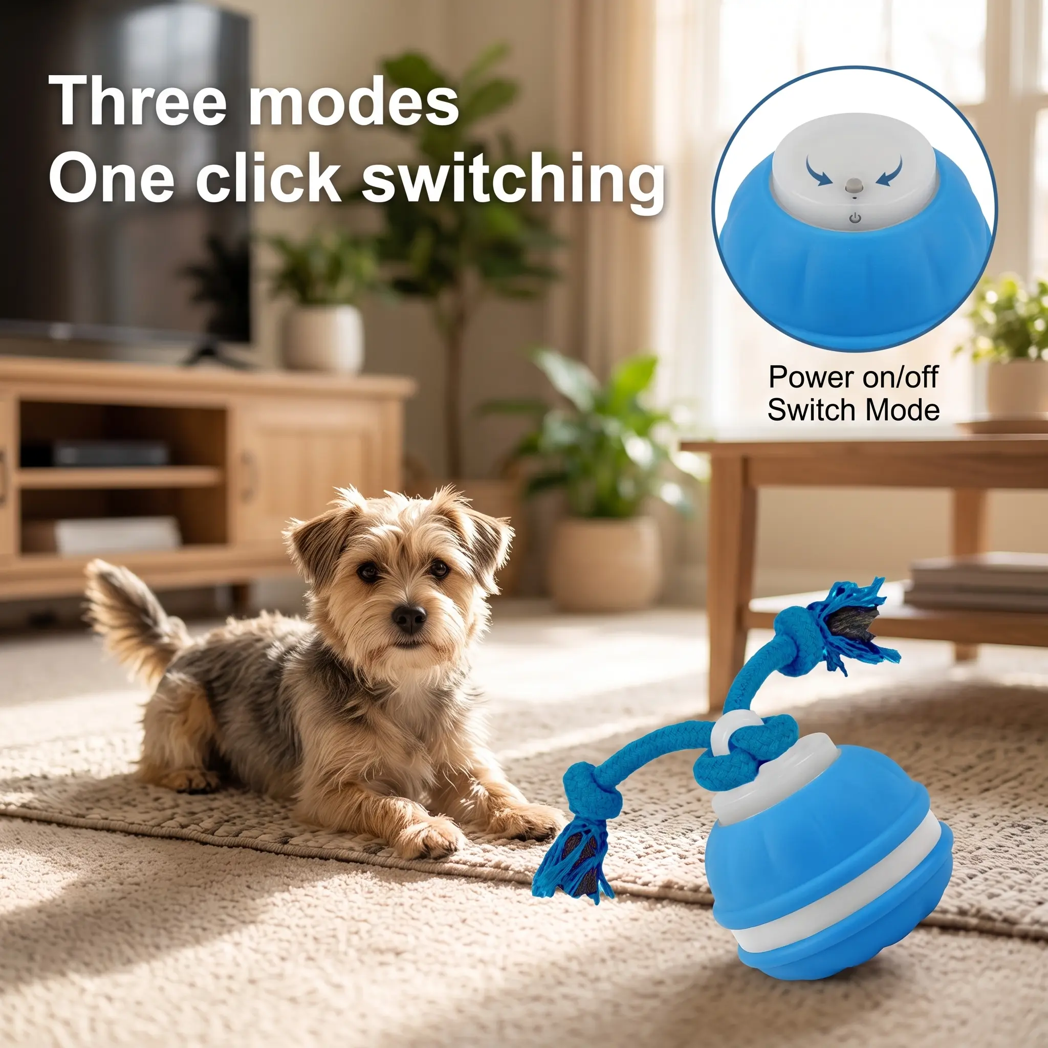 Interactive Dog Toys with Motion Activated, Squeaky Dog Toy Active Rolling Ball, Ball for Daily Training,Used for small dogs and cats , pet accessories, cute pet toys(2.95*2.95*4.33inch)