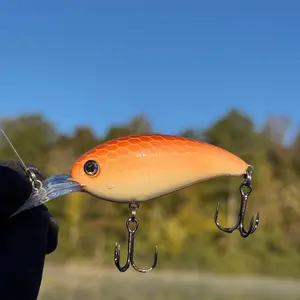 Hand-Painted Norm Style Crank Bait for Fishing