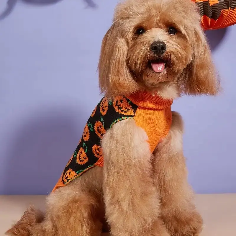 Pet Halloween Sweater, Pumpkin Face & Jack-O-Lantern Print, Small Medium Dogs, &, Fall Costume Party