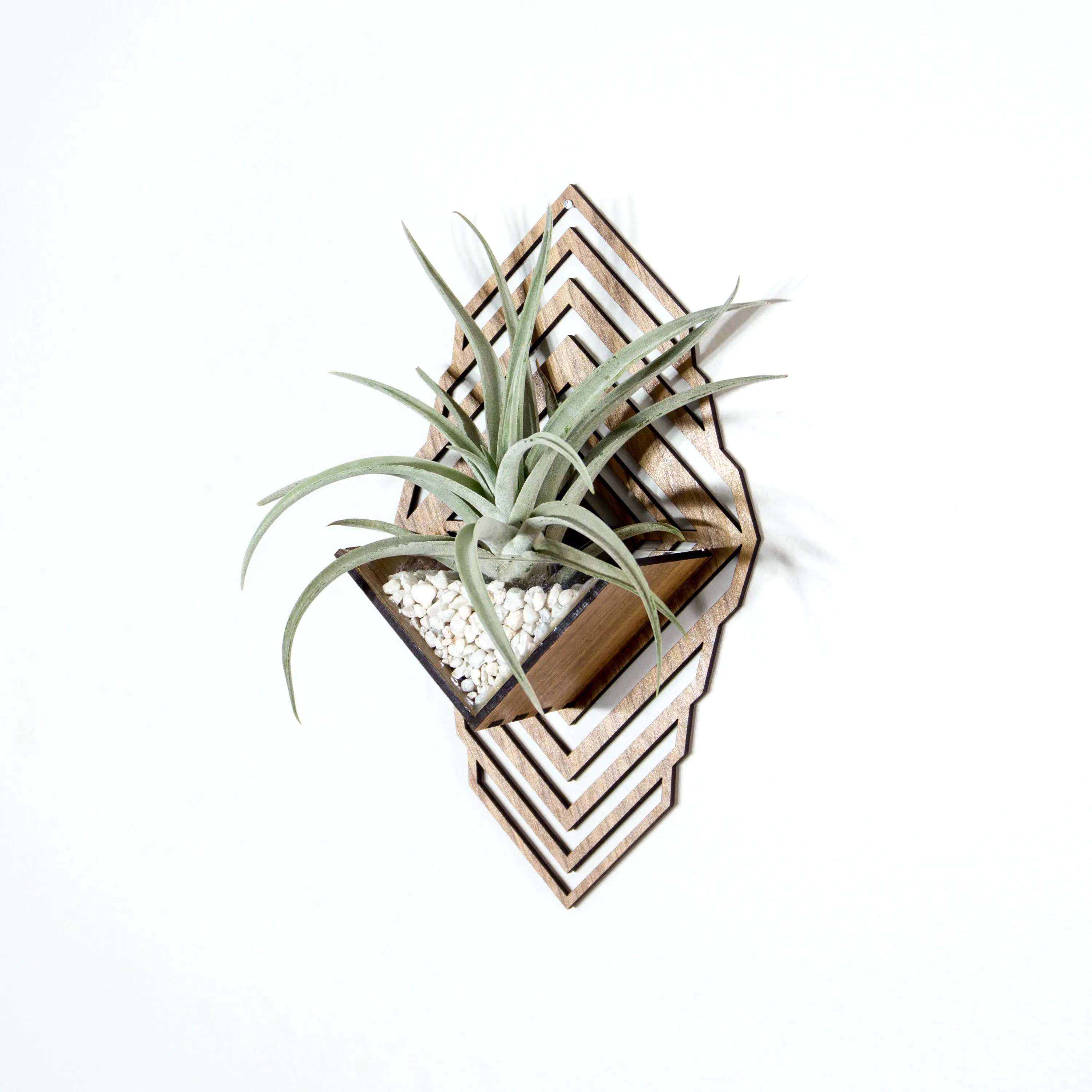Handmade Wood Sconce Wall Planter - Display Hanger for Tillandsia, Air Plants, Succulents, Cacti - 5.5" Width x 9.65" Height, Lasercut Wood & Acrylic, Semi-Gloss Finish, Decorative Home Decor