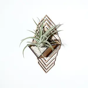 Handmade Wood Sconce Wall Planter - Display Hanger for Tillandsia, Air Plants, Succulents, Cacti - 5.5" Width x 9.65" Height, Lasercut Wood & Acrylic, Semi-Gloss Finish, Decorative Home Decor