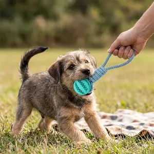 2-in-1 Dog Toy Ball, Treat Dispensing, Cotton Rope Handheld, Heavy Duty, Teeth Cleaning, Interactive Puzzle, For Aggressive Chewers, Outdoor Training