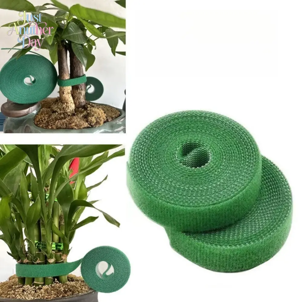 Green Plant Ties Hook and Loop Tape, 2/3/5m Adjustable Nylon Plant Straps, Reusable Garden Plant Support Ties for Climbing Plants, Vines, Trees, and Cable Organizing