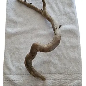 Coast of maine Reptile/aquarium Drift Wood!!