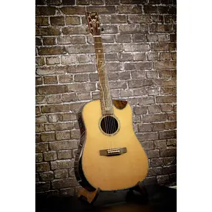 Z840 - Ziricote Acoustic - Elite Series