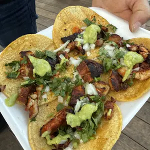 VEVOR Shawarma Grill Machine, 13 lbs Capacity, Chicken Shawarma Cooker Machine with 2 Burners, Gas Vertical Broiler Gyro Rotisserie Oven Doner Kebab Machine, for Home Restaurant Kitchen Parties