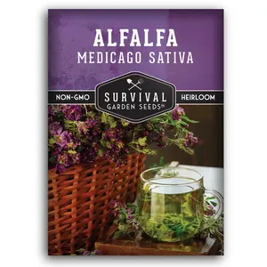 Alfalfa Seeds - Medicinal Herb
