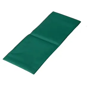 Homes for Pets Ramp Cover for Guinea Pig Habitat and Guinea Pig Habitat 'Plus'
