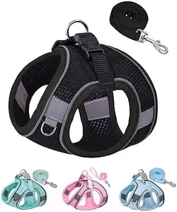 Dog Harness for Small Medium Dogs No Pull, Puppy Harness and Leash Set, Puppy Harness for Small Dogs, Step in Harness for Small Dogs, Small Dog Harness, mesh Dog Harness. (Black, XS)