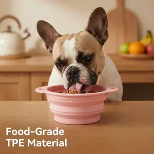 Macaron-Colored Pet Bowl Collapsible Dog Bowl Portable Silicone Feeding Bowl Folds completely flat for effortless portability Securely attaches to bags or leashes Made from food-grade TPE material—safe and harmless for pets