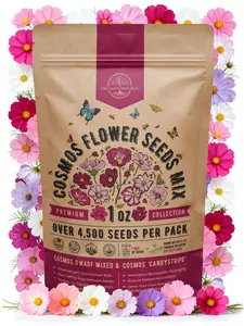 Cosmos Seeds 1oz