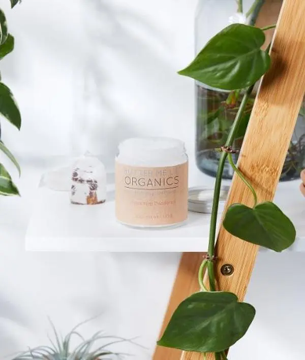 Handmade Organic Deodorant Polite Pitts / Organic Deodorant / Natural Deodorant / Aluminum Free / Paraben Free Organic Fragrance Free
