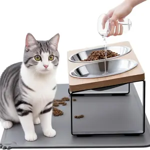 Upgraded Elevated Cat Bowls with Food Mat, 15°Tilted Stand Anti Vomiting Raised Cat Dishes for Food and Water, 2 Stainless Steel Bowls for Cats and Puppy