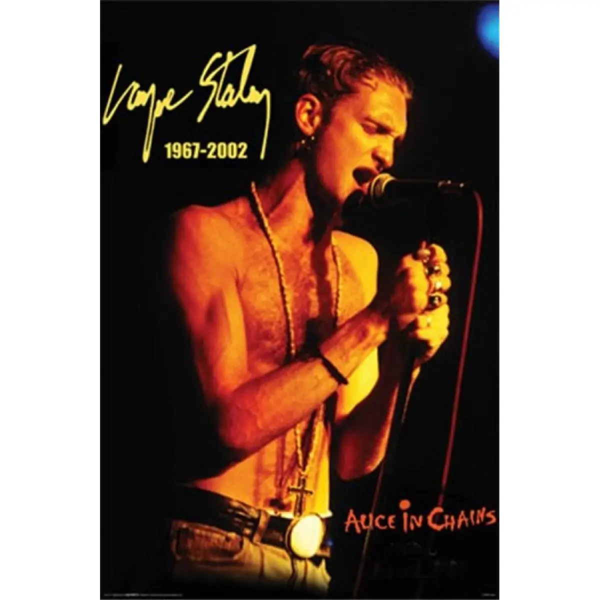 212 MAIN Alice in Chains Photo Poster Print - 24x36 in Large Wall Art, Artistic Room Decor, Collectible Gift for Home Decor Enthusiasts