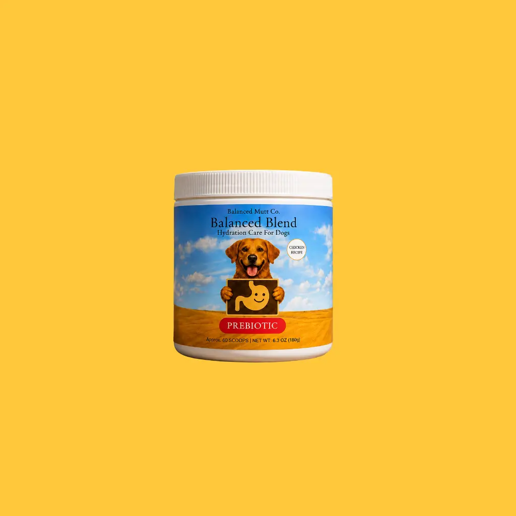 Balanced Blend | Prebiotic Digestive Support | Chicken Recipe (1 or 3 pack)