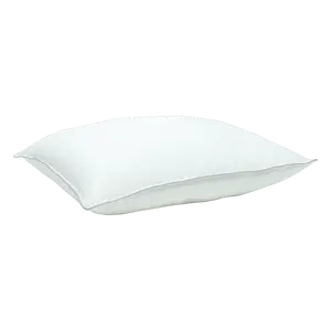 TESTING | Down Alternative Pillow (DO NOT USE)