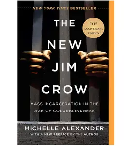 The New Jim Crow: Mass Incarceration in the Age of Colorblindness Paperback – January 7, 2020