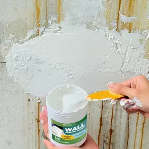 Multi-Functional Waterproof Wall Repair Paste, Anti-Crack Plaster for Home Renovation, Invisible Waterproof Sealant, Fixes Cracks, Peeling, Holes, Dirt