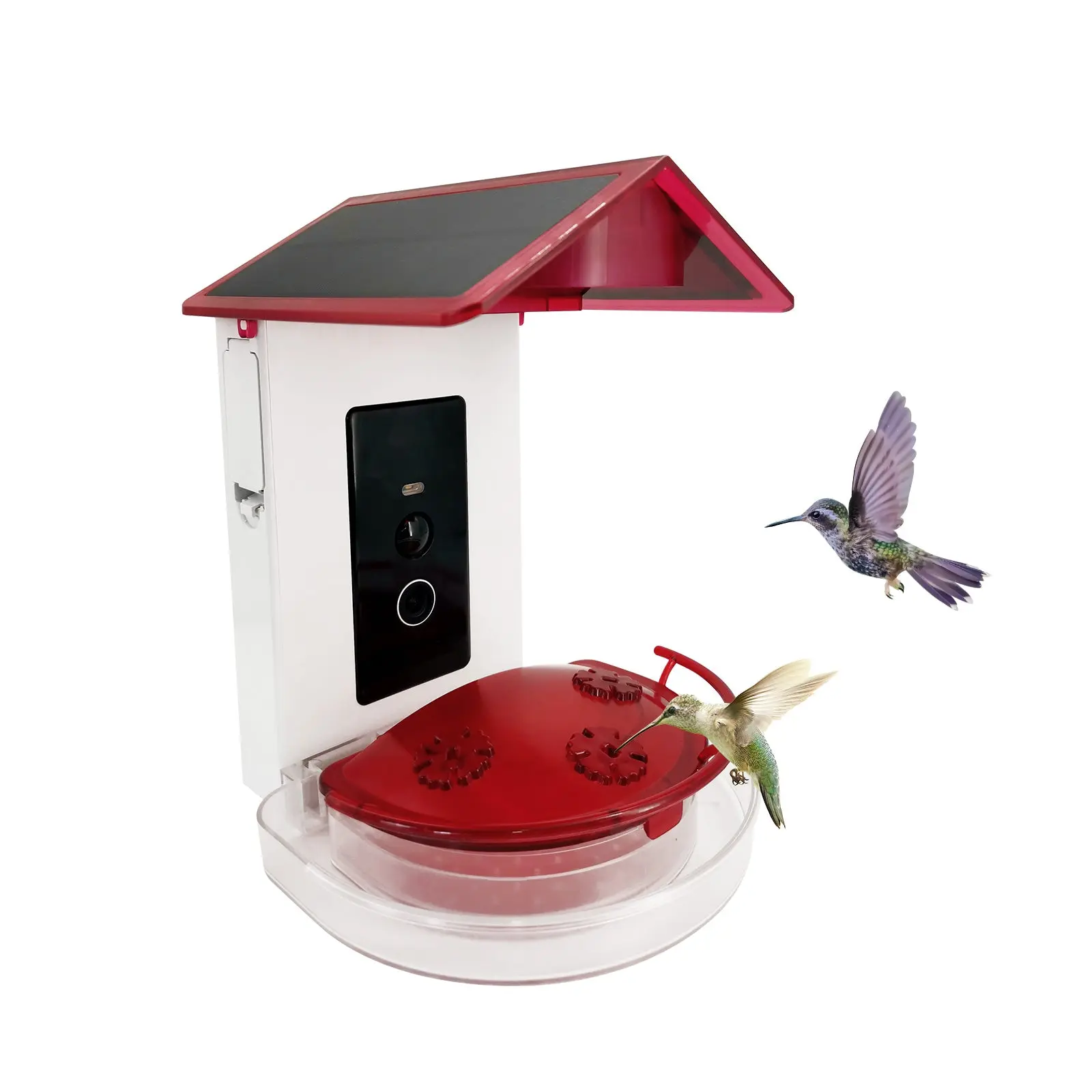Smart Hummingbird Feeder with 1080P HD AI Camera & Solar Panel