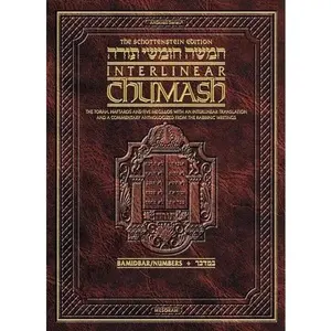 USED-The Schottenstein Edition Interlinear Chumash Volume 4: Bamidbar / Numbers by Rabbi Menachem Davis (Hardcover)