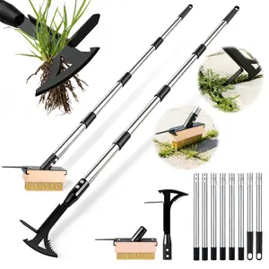 2 Crack Weeder Tool Set--5.1in Extended Metal Crevice Weeding Brush & Multi- L-Shape Manganese Steel Weed Puller,Weeding Moss Remover Tool for Weeding