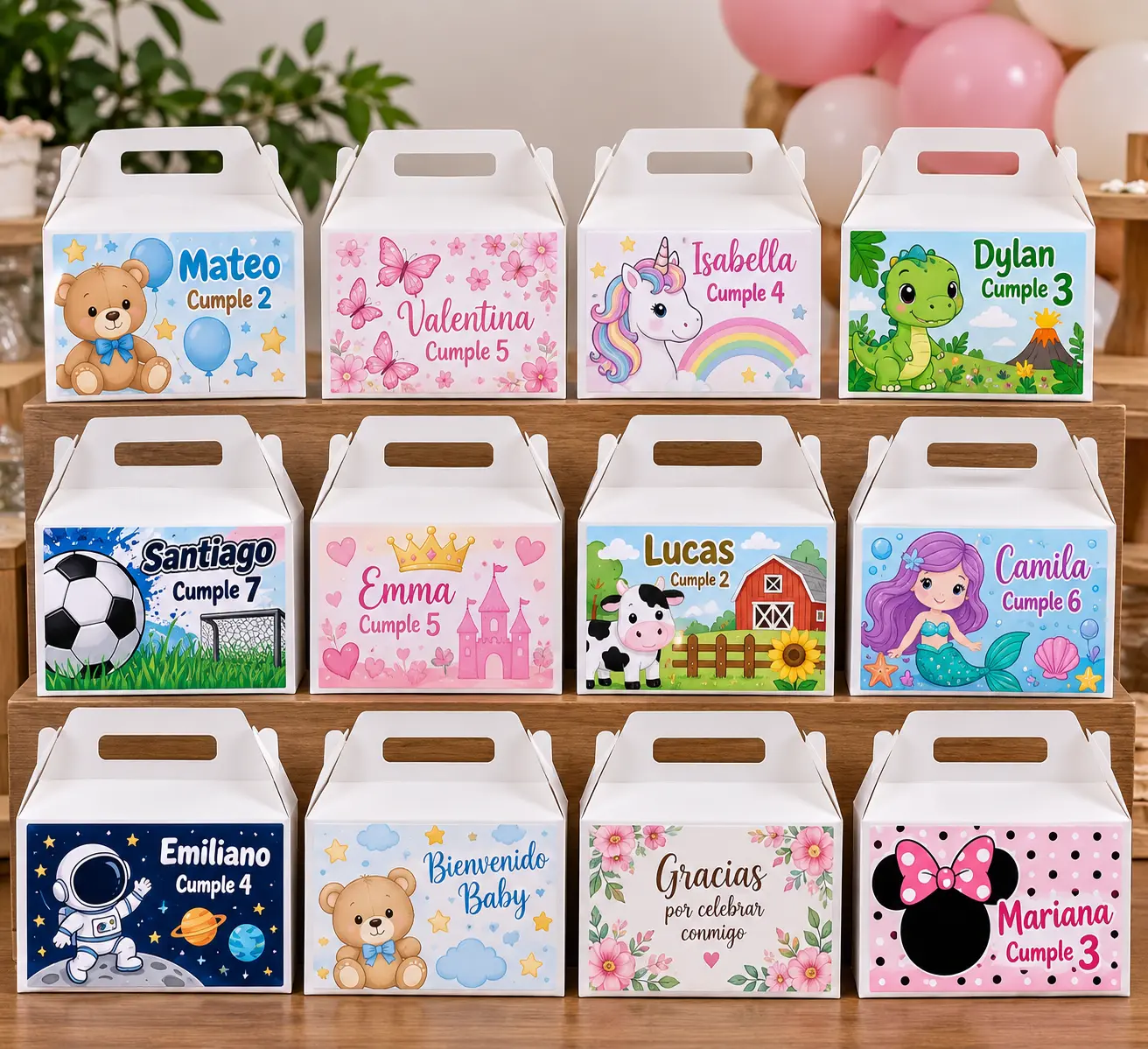 Personalized Party Favor Boxes-Set of 12-Custom name,age, theme