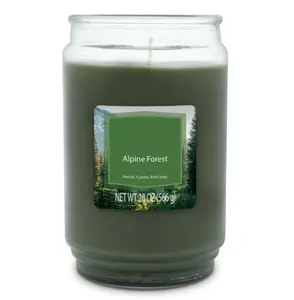 Alpine Forest Scented Single-Wick Glass Jar Candle 20 oz - Freshener for Decorative Use