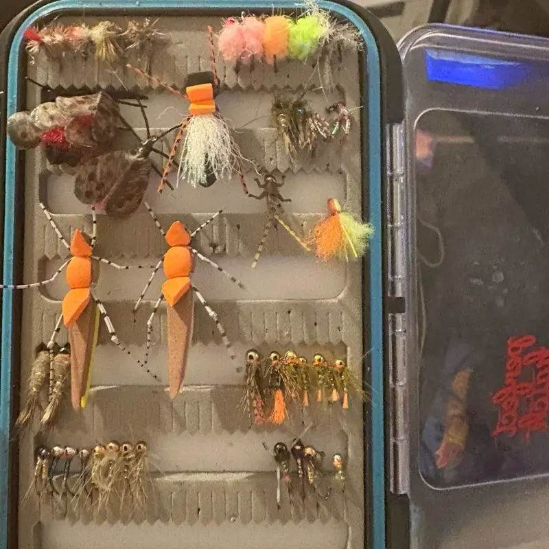 Fly Box with 100 Assorted Flies for Trout and Other Species - Includes Variety of Colors and Styles for Optimal Fishing Performance