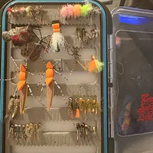 Fly Box with 100 Assorted Flies for Trout and Other Species - Includes Variety of Colors and Styles for Optimal Fishing Performance