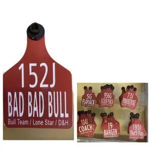 Personalized cattle ear tag