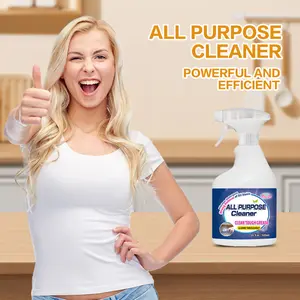 Household Items Kitchen Detergent 500ML Lemon Scent Spray Quick Grease Removal No Residue Gentle on Hands 99.9% Anti-Bacterial Degreaser