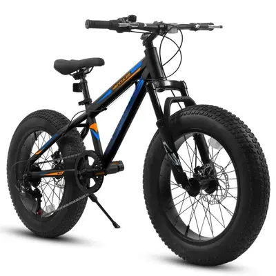 Mountain Bike Fatboy Cycle Fatboy Bicycle Price Top