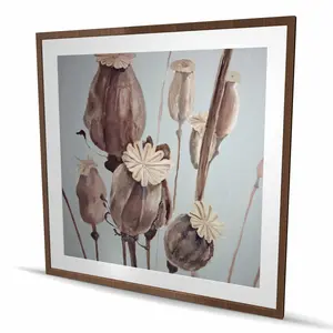 Begin Home Decor C1FM4848UGTRXX 48 x 48 in. Sepia Poppy Head Flowers - Farmhouse Still Life Framed Print Wall Art