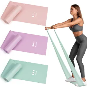Resistance Bands for Working Out, Exercise Bands, Resistance Band for Physical Therapy, Stretch Bands for Pilates, Rehab, Stretch, Strength Training and Yoga Starter Set Tpe Material Durable Lightweight Portable Hypoallergenic