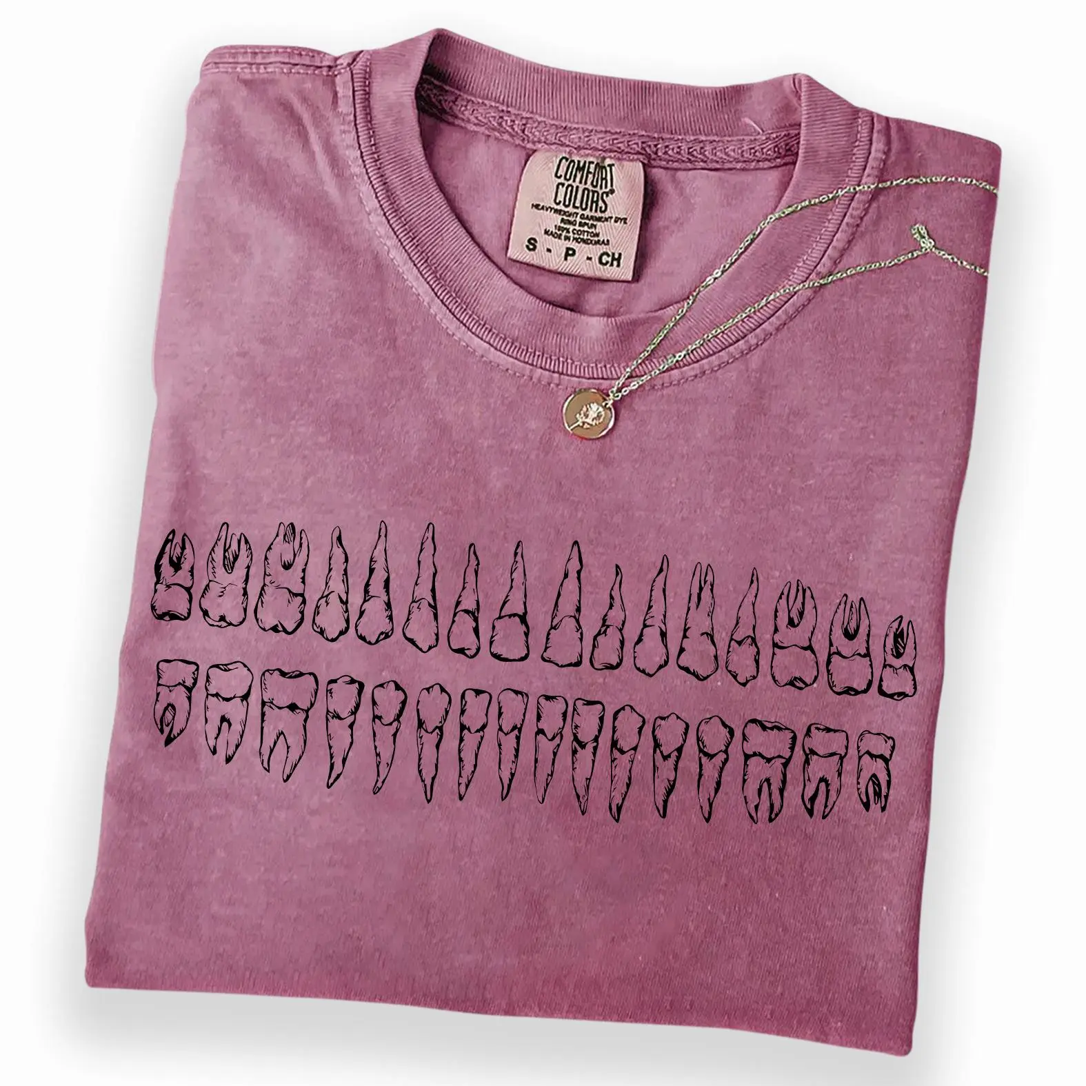Comfort Colors Tooth Anatomy Shirt, DTG Printed Graphic Tee, Dentist T-Shirt, Dental Student & Hygienist Top, Orthodontist Appreciation Gift for Women