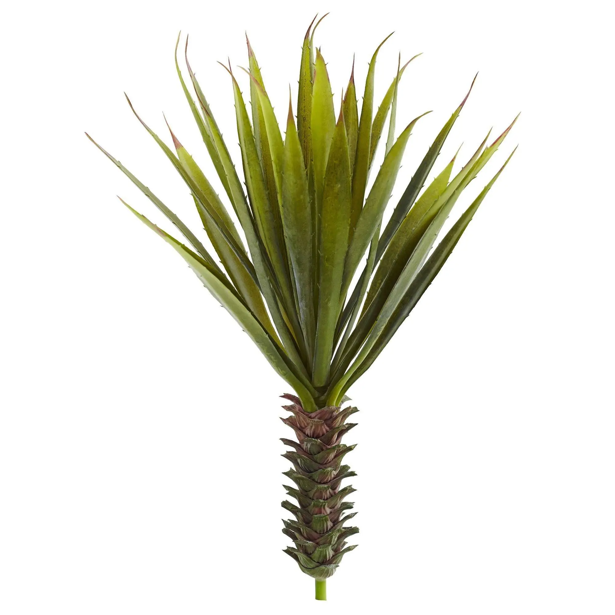 Tropical Spiky Agave Succulent Plant 2-Piece Set, Ideal for Indoor Gardening, Home Improvement Supplies