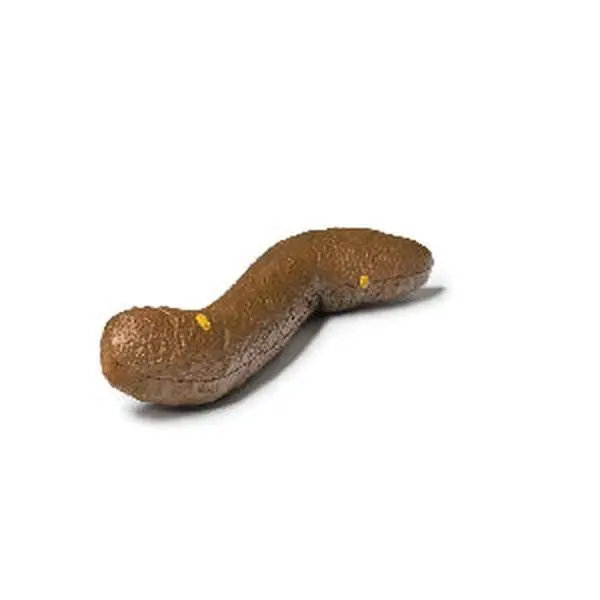 The Floater Prank Poop