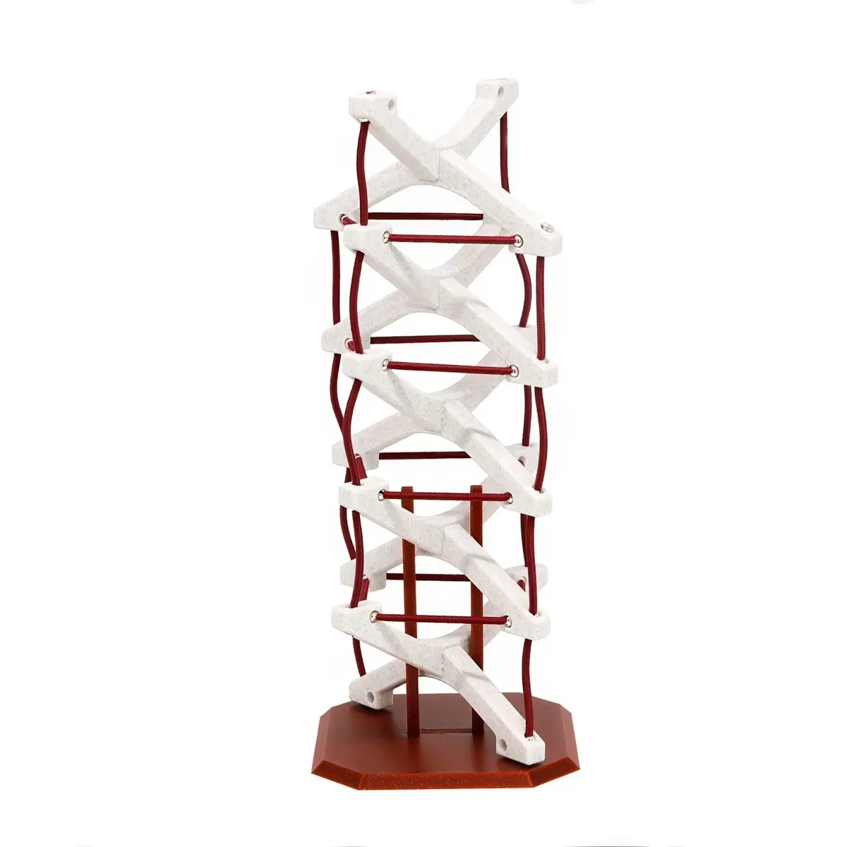 Tensegrity Spine Model - Learning & Education Model for Healthcare & Movement Professionals (Chiropractic, Physical Therapy, Massage Therapy, Yoga, Pilates, Personal trainers).  By DMB Education