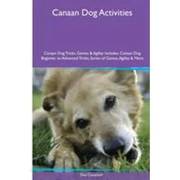 USED-Canaan Dog Activities Canaan Dog Tricks, Games & Agility. Includes: Canaan Dog Beginner to Advanced Tricks, Series of Games, Agility and More by Campbell, Dan (Paperback)