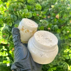 Whipped Oatmeal Sugar Scrub Organic Hydrating