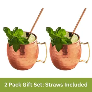 Stainless Steel Moscow Mule Cups -Washable Mug - Set of 2 - Reusable Drinkware Holiday Gifts Russian Beer Mug - 14 oz