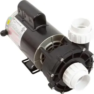 LX Pumps  1.5 in. 240V 1 Speed Spa Circulation Pump