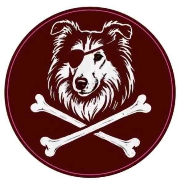 Glossy Finish Pirate Theme Maroon Vinyl Car Decal - Pre-Order (In Production Now), Universal Windshield Sticker, Car Exterior Decoration, Truck Accessories, Universal Car Sticker