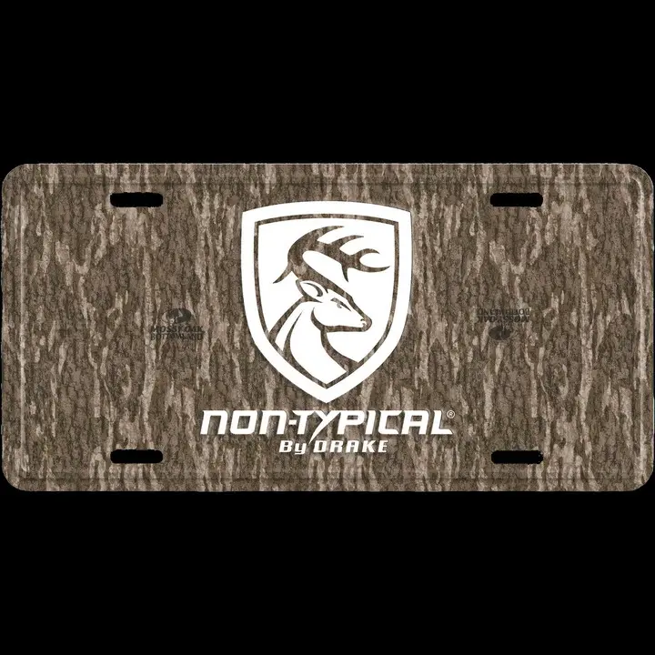 Non-Typical License Plate