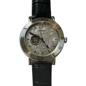 Luxury Meteorite Watch