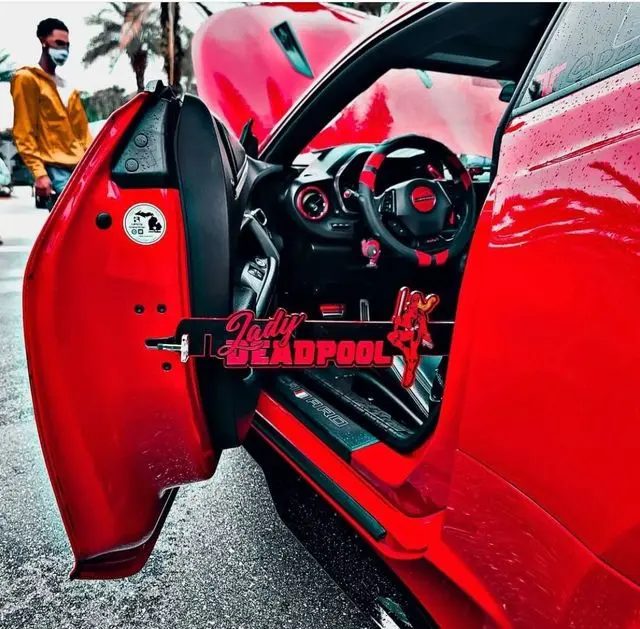 Custom Door Props - Classic Enhanced Look with LED Option - 3D Print Style - Two Tone Design - 18" x 3" Size - Car Accessories