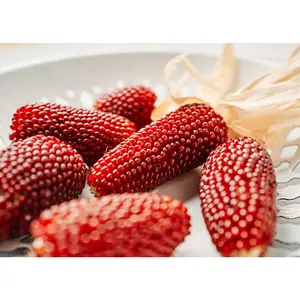 Strawberry Popcorn - Corn Seeds